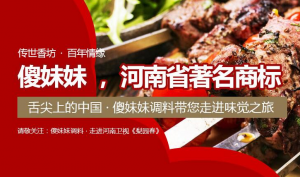 河南调味料厂家简述家庭调味品的作用