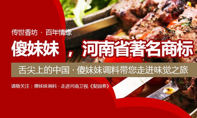 河南调味料厂家,调味料批发,河南调味料食品